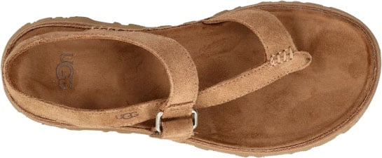 UGG GOLDENGAZE TOE 1175134 CHE Bruin