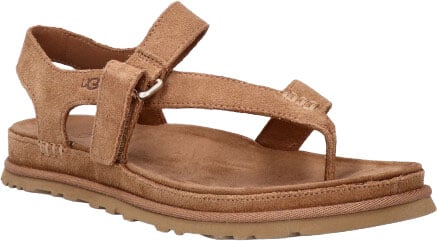 UGG UGG GOLDENGAZE TOE 1175134 CHE Bruin