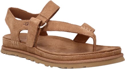 UGG GOLDENGAZE TOE 1175134 CHE Bruin