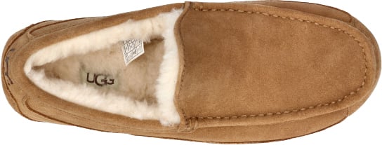 UGG UGG 1101110 CHE Bruin