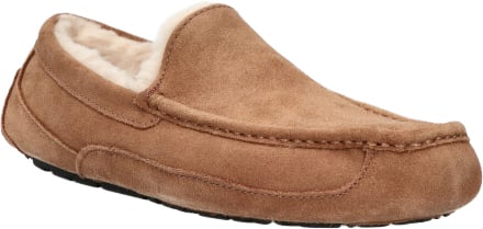 UGG UGG 1101110 CHE Bruin