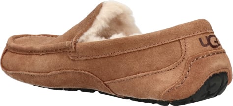 UGG UGG 1101110 CHE Bruin