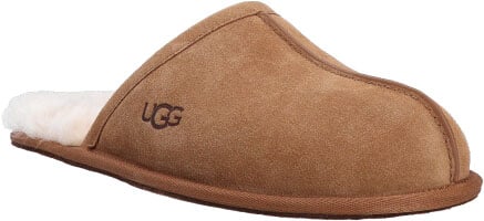 UGG UGG 1101111 CHE Bruin