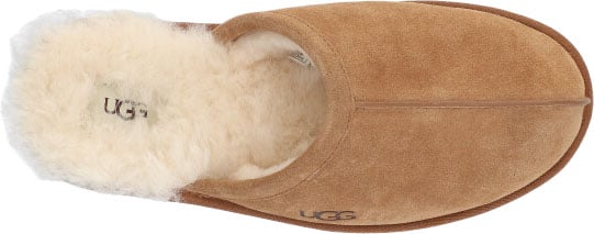 UGG UGG 1101111 CHE Bruin