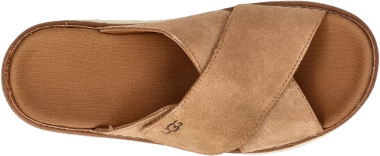 UGG UGG 1137910 CHE Bruin