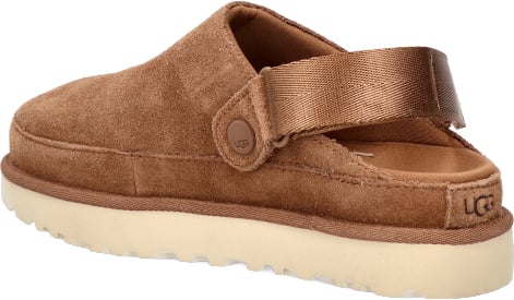 UGG UGG 1138252 CHE Bruin