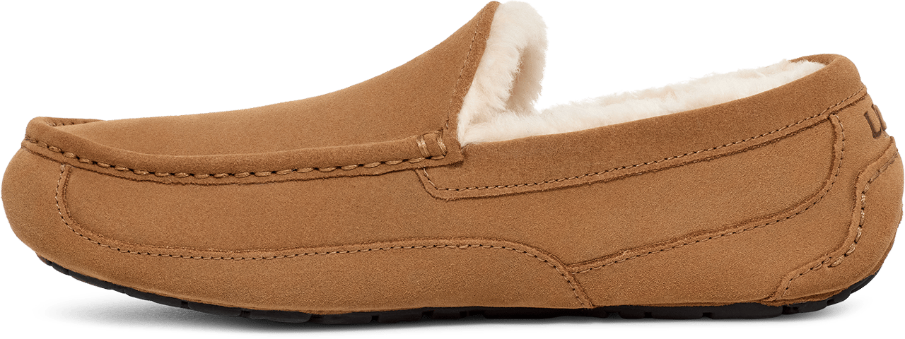 UGG Ascot Chestnut Divers