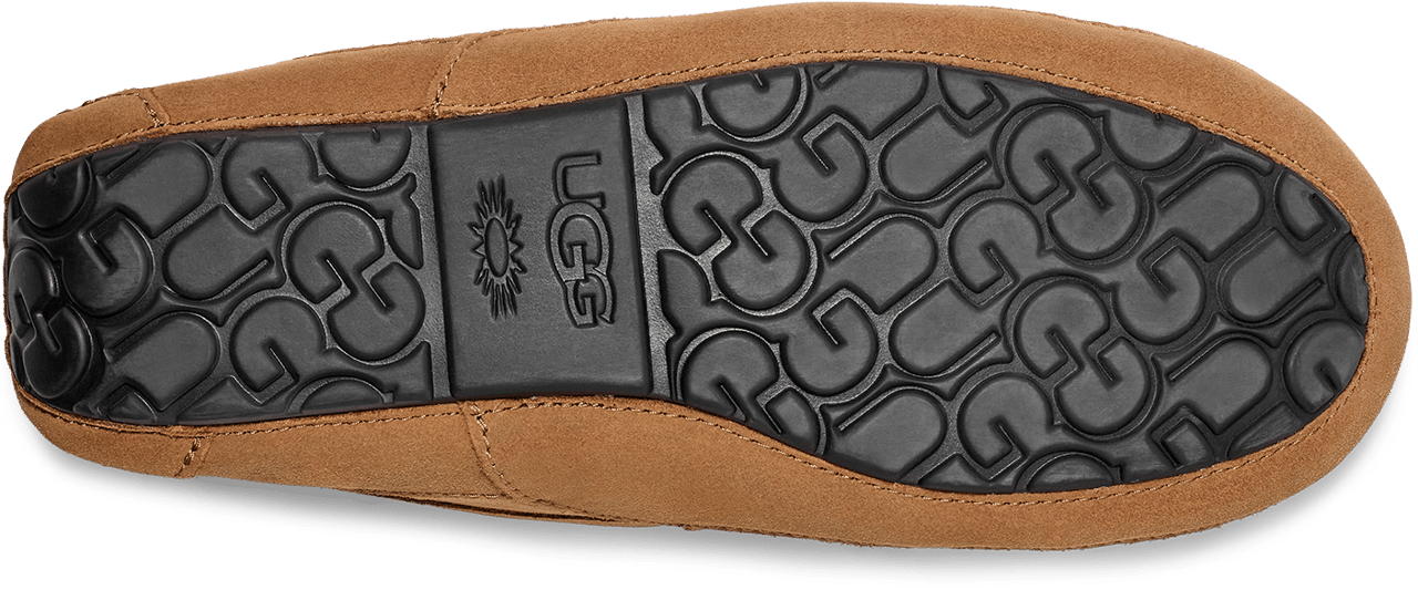 UGG Ascot Chestnut Divers