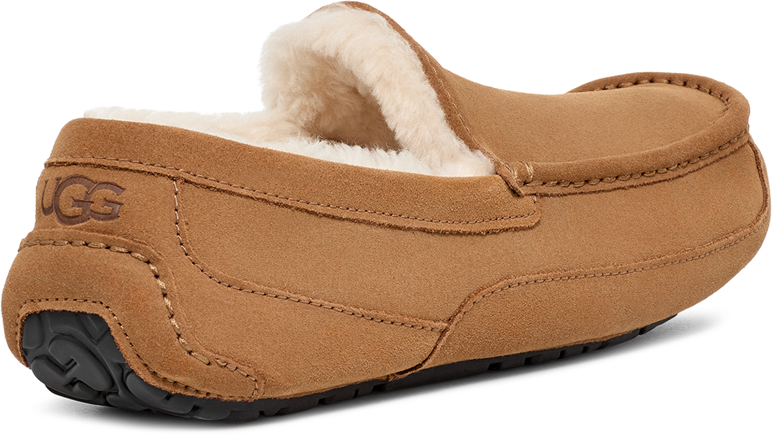 UGG Ascot Chestnut Divers
