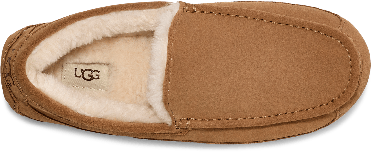 UGG Ascot Chestnut Divers