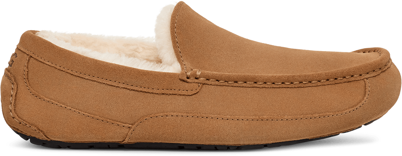 UGG Ascot Chestnut Divers