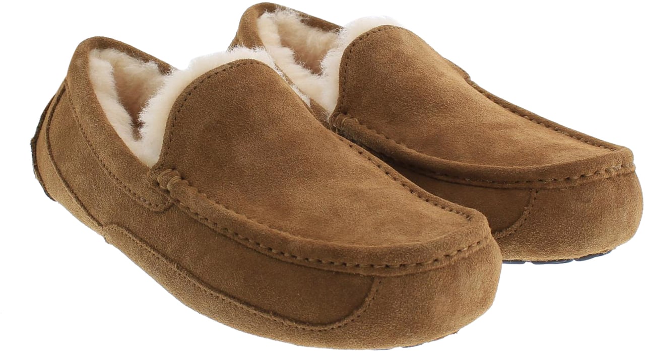 UGG Heren Ascot Beige