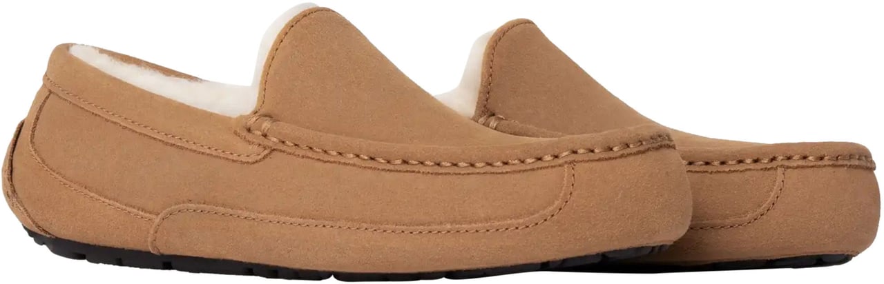UGG Ugg Ascot Pantoffels Cognac 1101110 Bruin