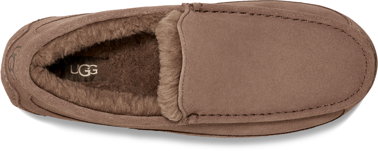 UGG Ascot Caribou Divers