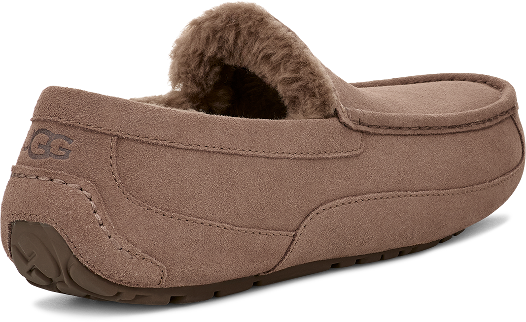 UGG Ascot Caribou Divers