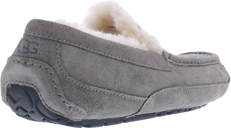 UGG Heren Ascot Grijs