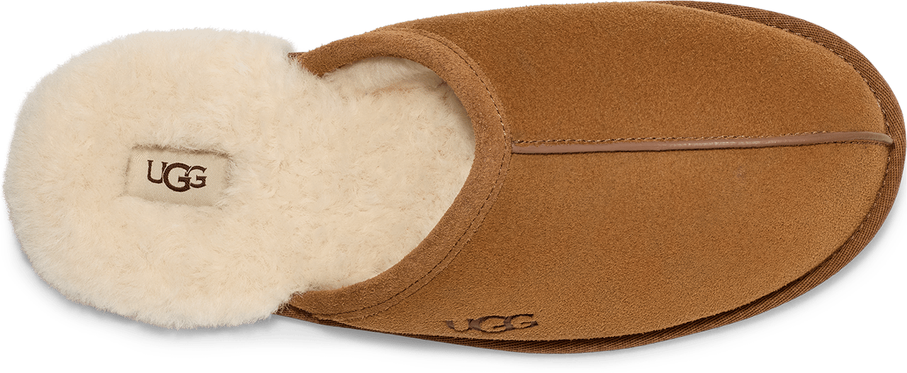 UGG Scuff Chestnut Beige