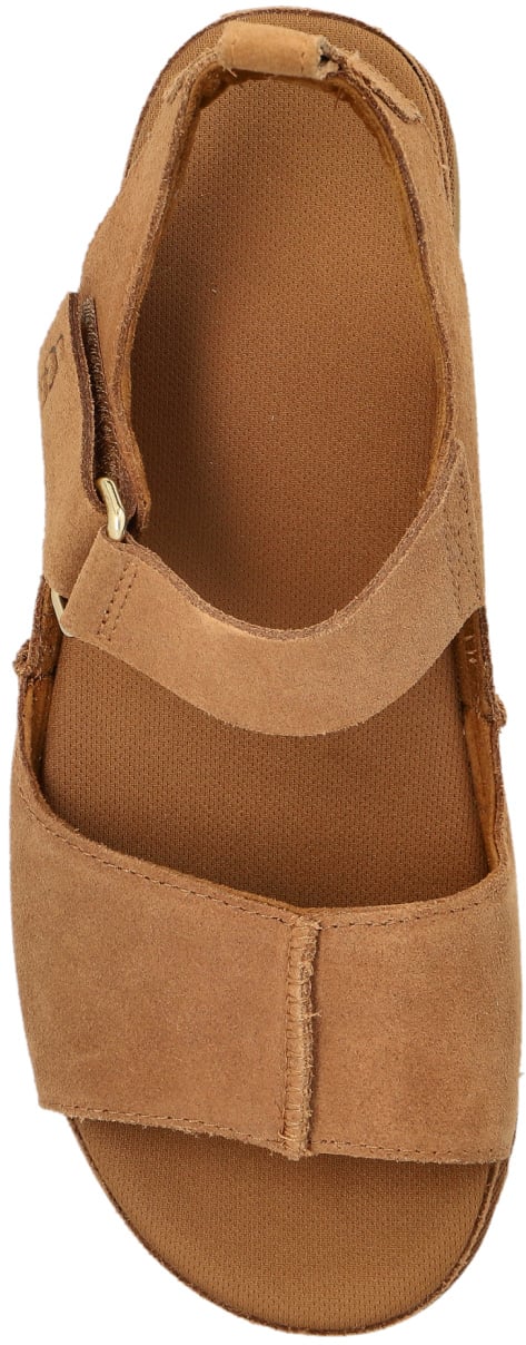 UGG Goldenstar Hi Sandals Bruin