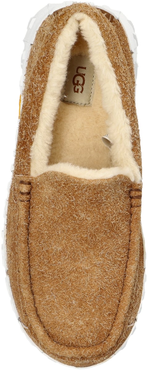 UGG Ascot Vibram Wrap Tech Loafers Bruin
