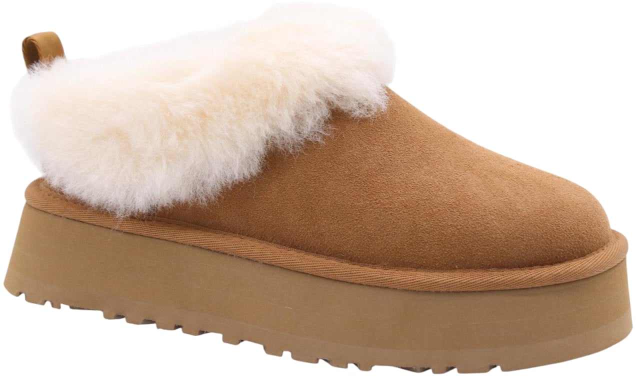 UGG Klomp Brown Bruin
