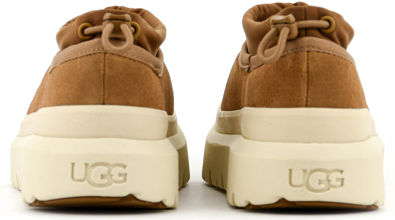 UGG Tasman Weather Chestnut Bruin