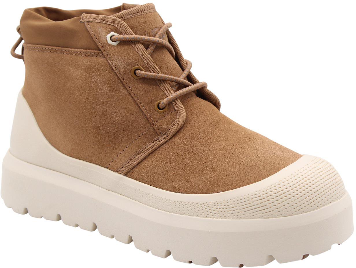 UGG Bottine Brown Bruin