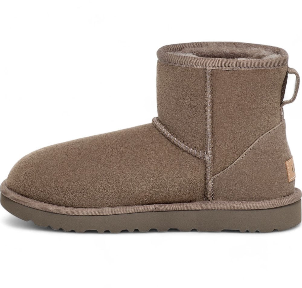 UGG Dames Laars Bruin