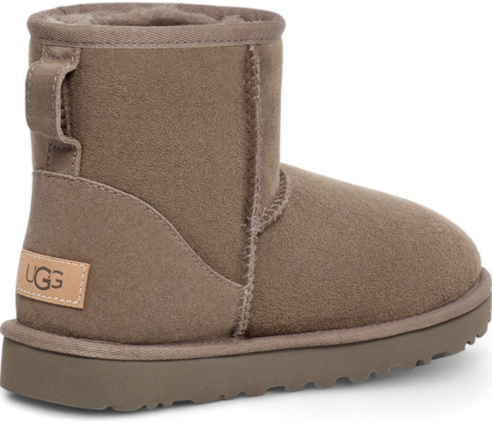 UGG Dames Laars Bruin