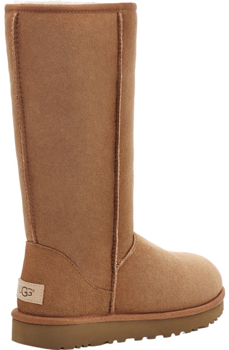 UGG Dames Laars Bruin
