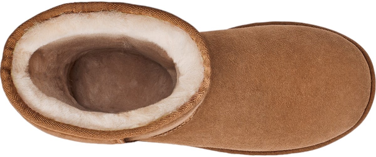 UGG Dames Laars Bruin