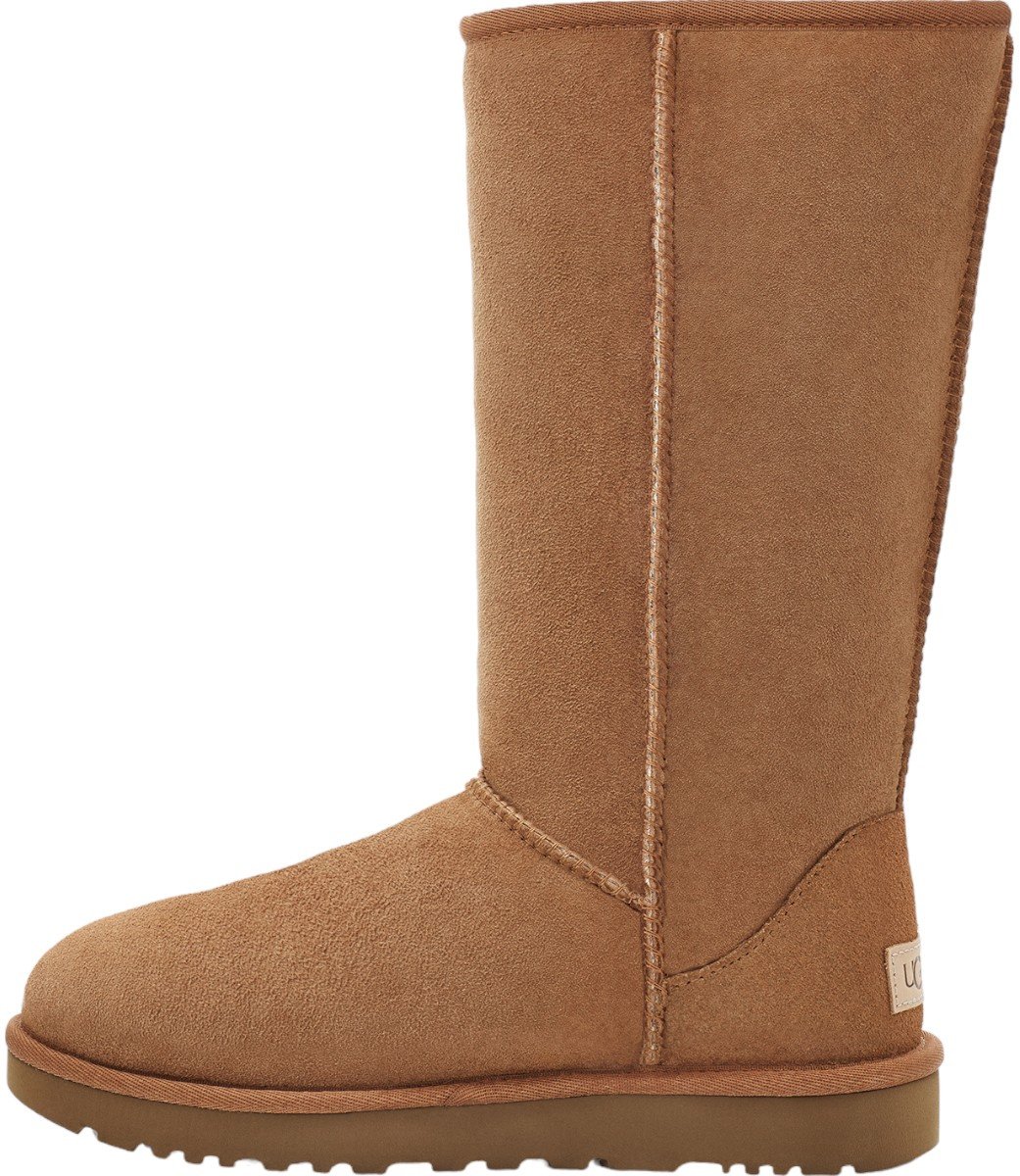 UGG Dames Laars Bruin