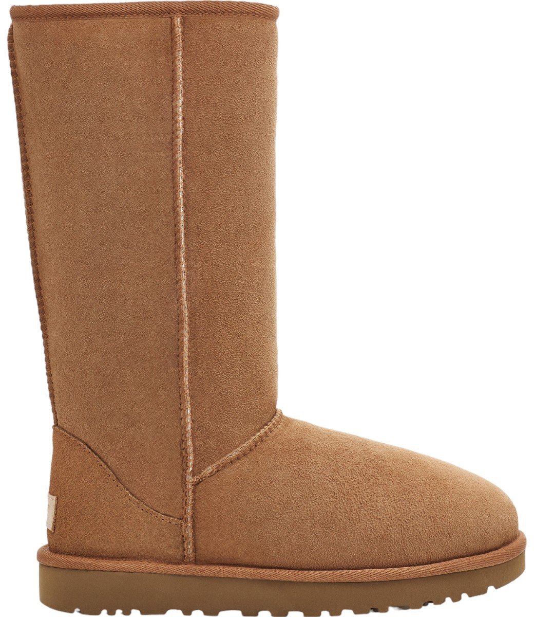 UGG Dames Laars Bruin