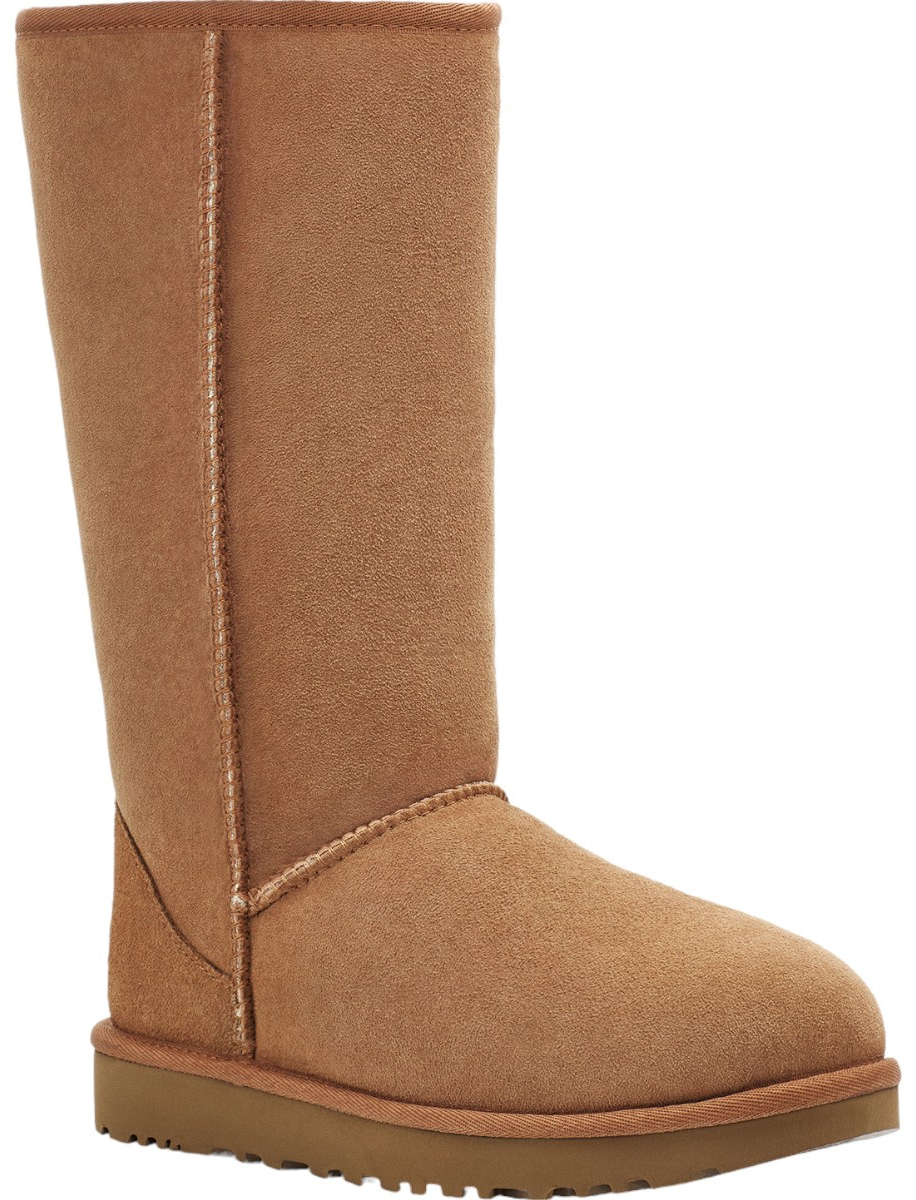 UGG Dames Laars Bruin