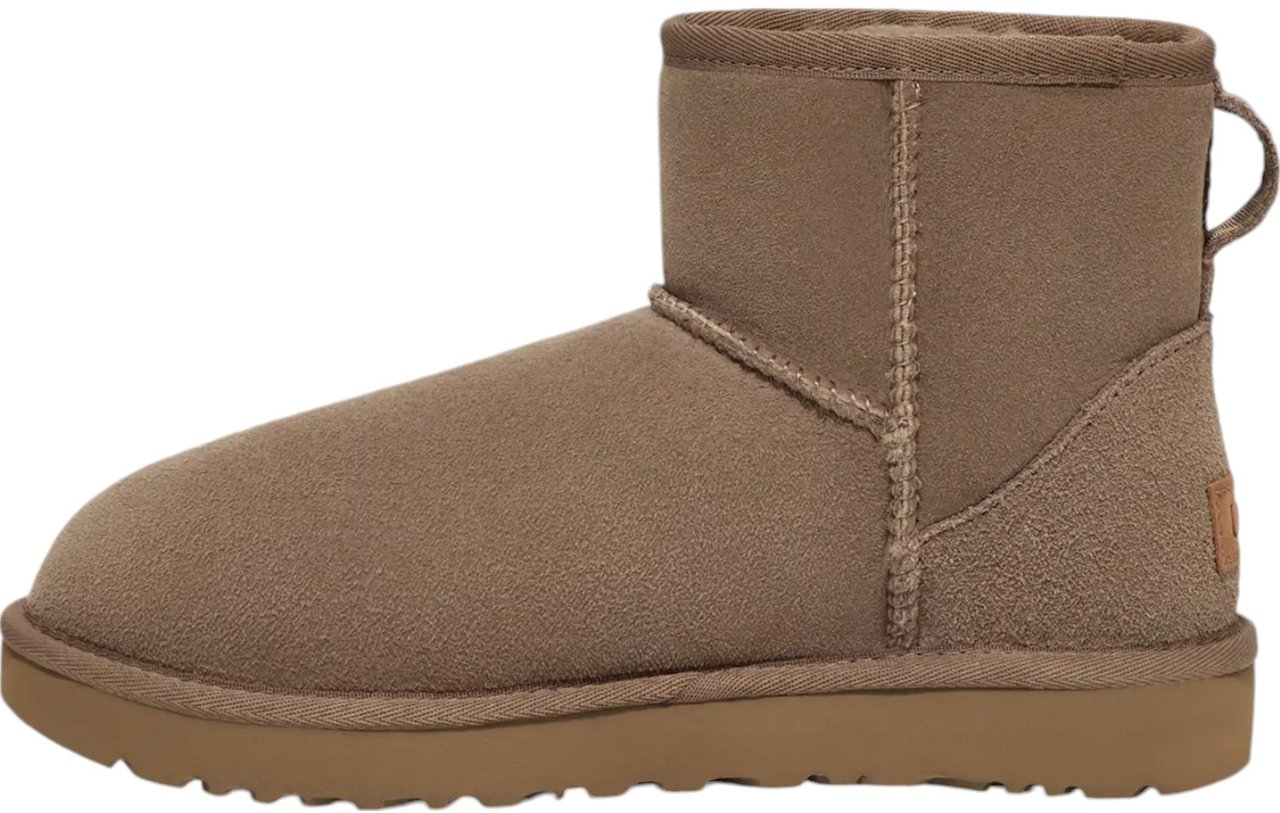 UGG Dames Laars Bruin