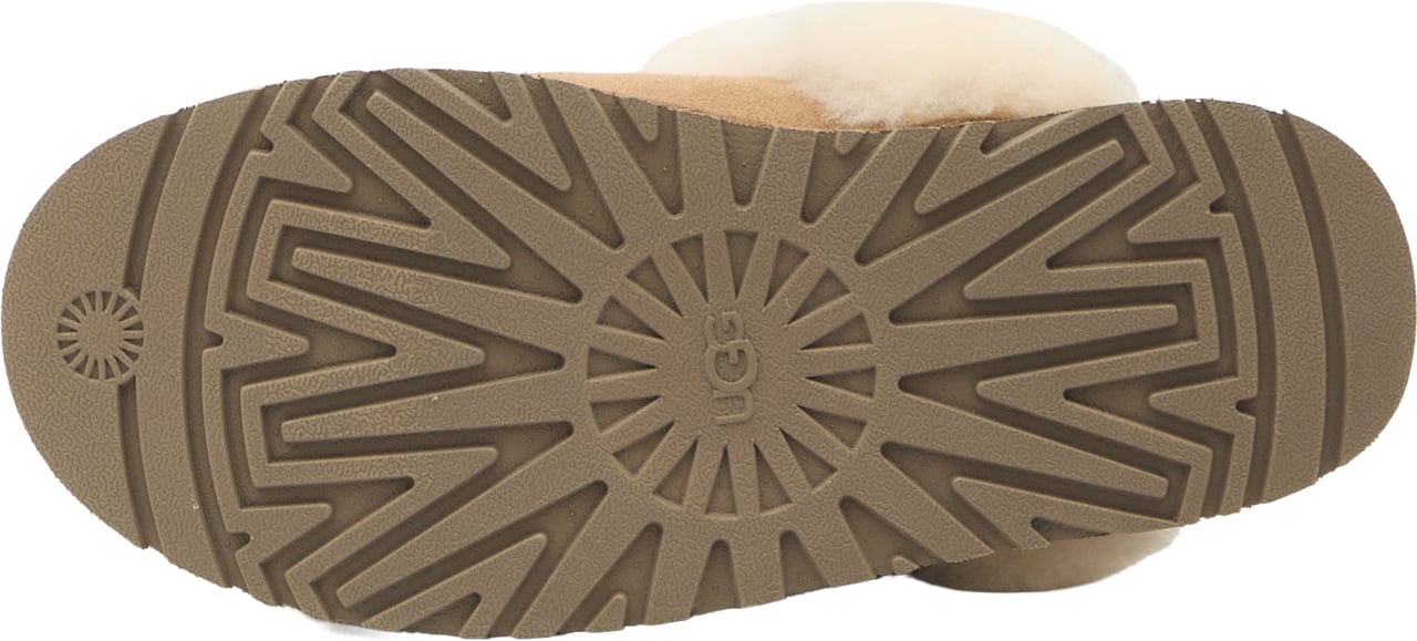 UGG Disquette Ugg Bruin