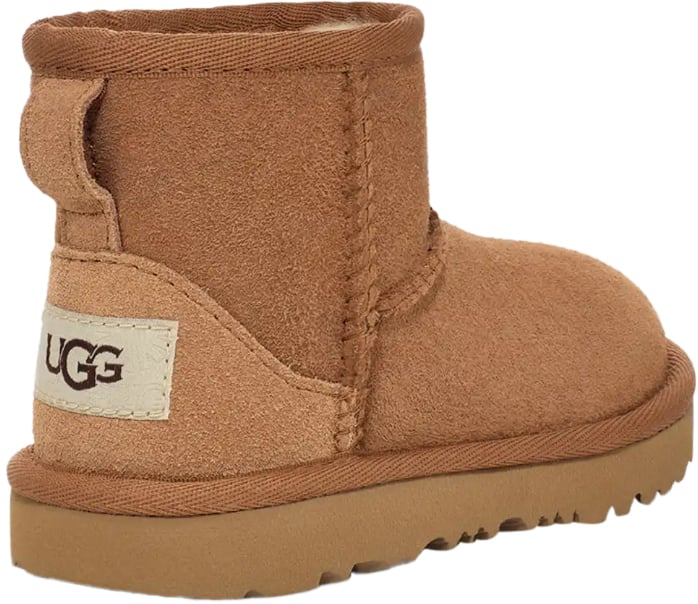 UGG Boots Brown Bruin