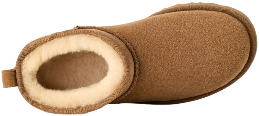 UGG Boots Brown Bruin