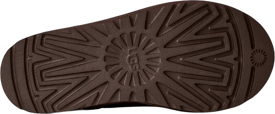 UGG TAZZ II Bruin