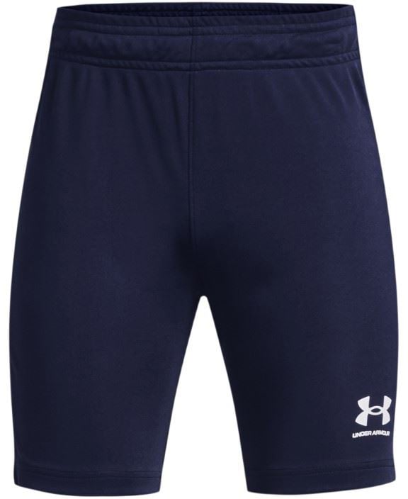 Under Armour Challenger Core Blauw