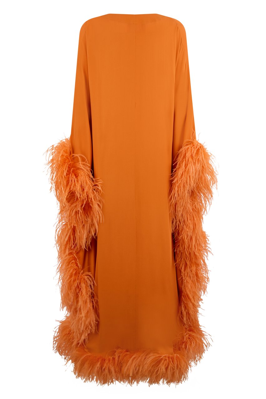 Valentino Dresses with feathers Oranje