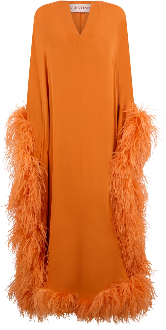 Valentino Dresses with feathers Oranje