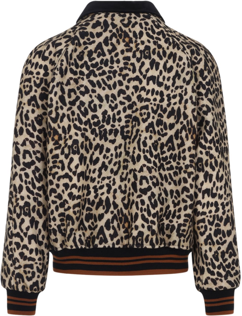 Valentino VALENTINO 8V3CIP69B7H Bruin