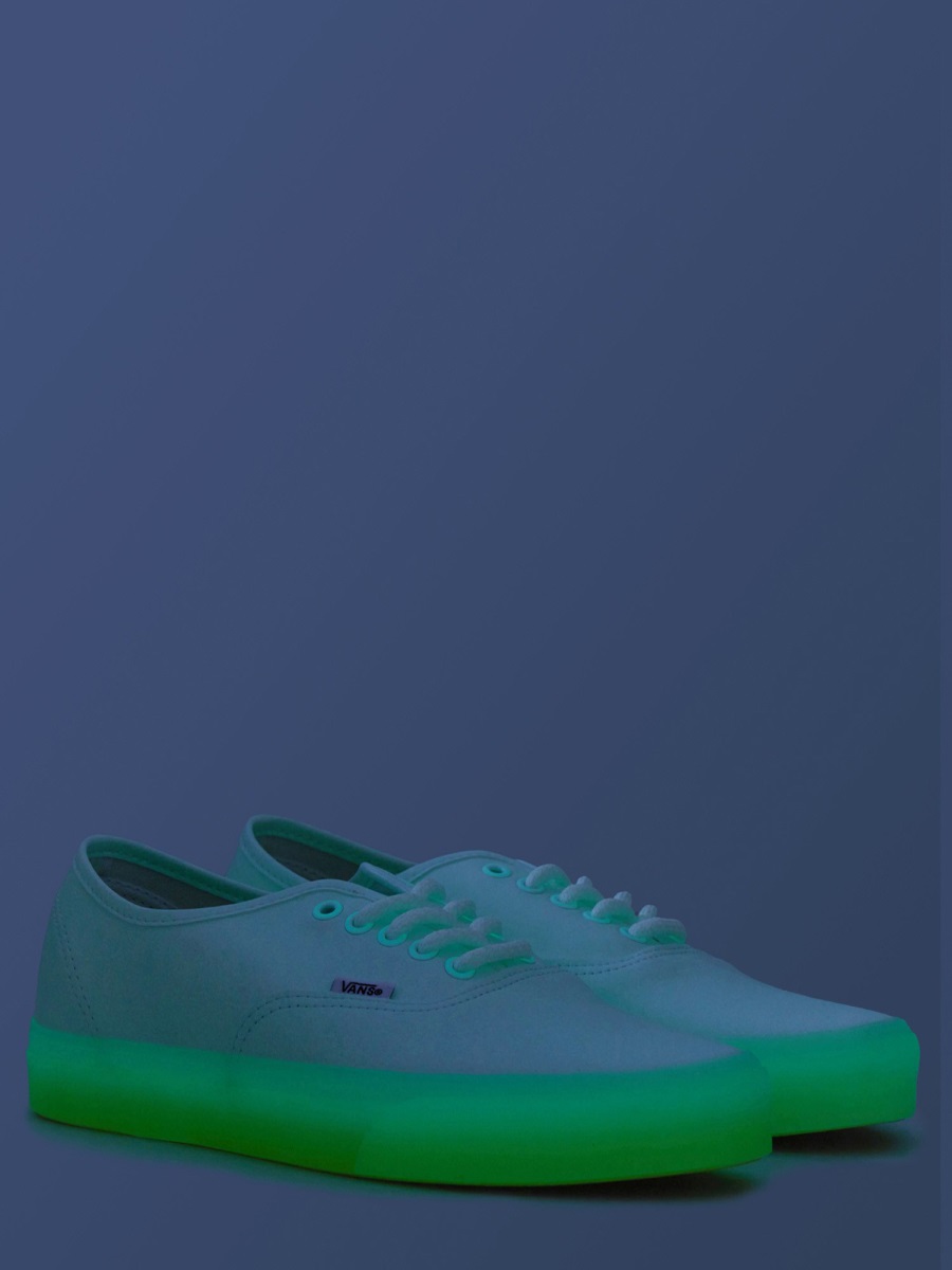 Vans AUTHENTIC SNEAKER Wit