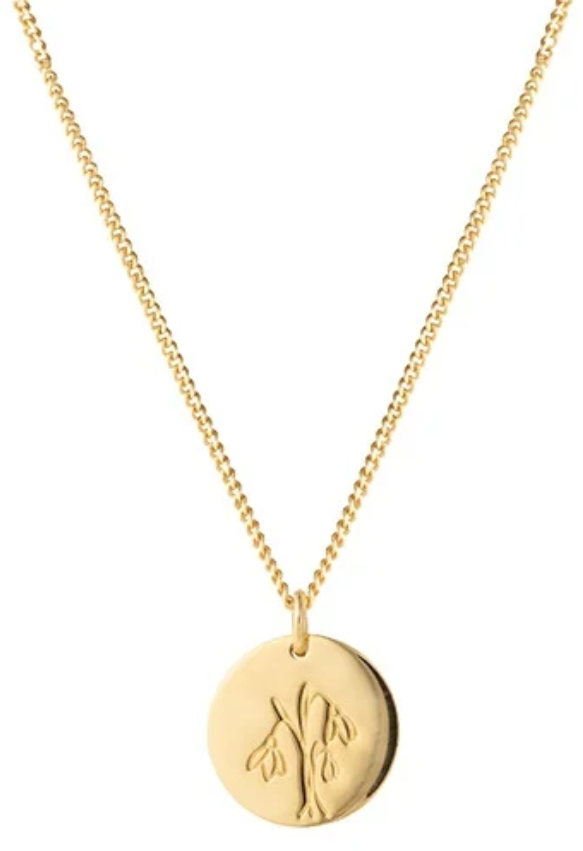 Vedder & Vedder Vedder & Vedder Collier Geboortebloem Januari Zilver met Geelgouden Plating 45cm Divers