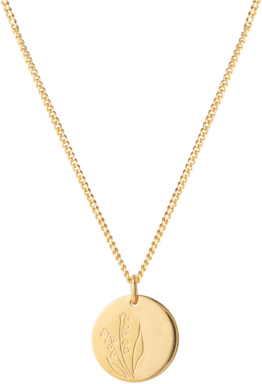 Vedder & Vedder Vedder & Vedder Ruby Rope Kettingen Goud Ruby Rope N Goud