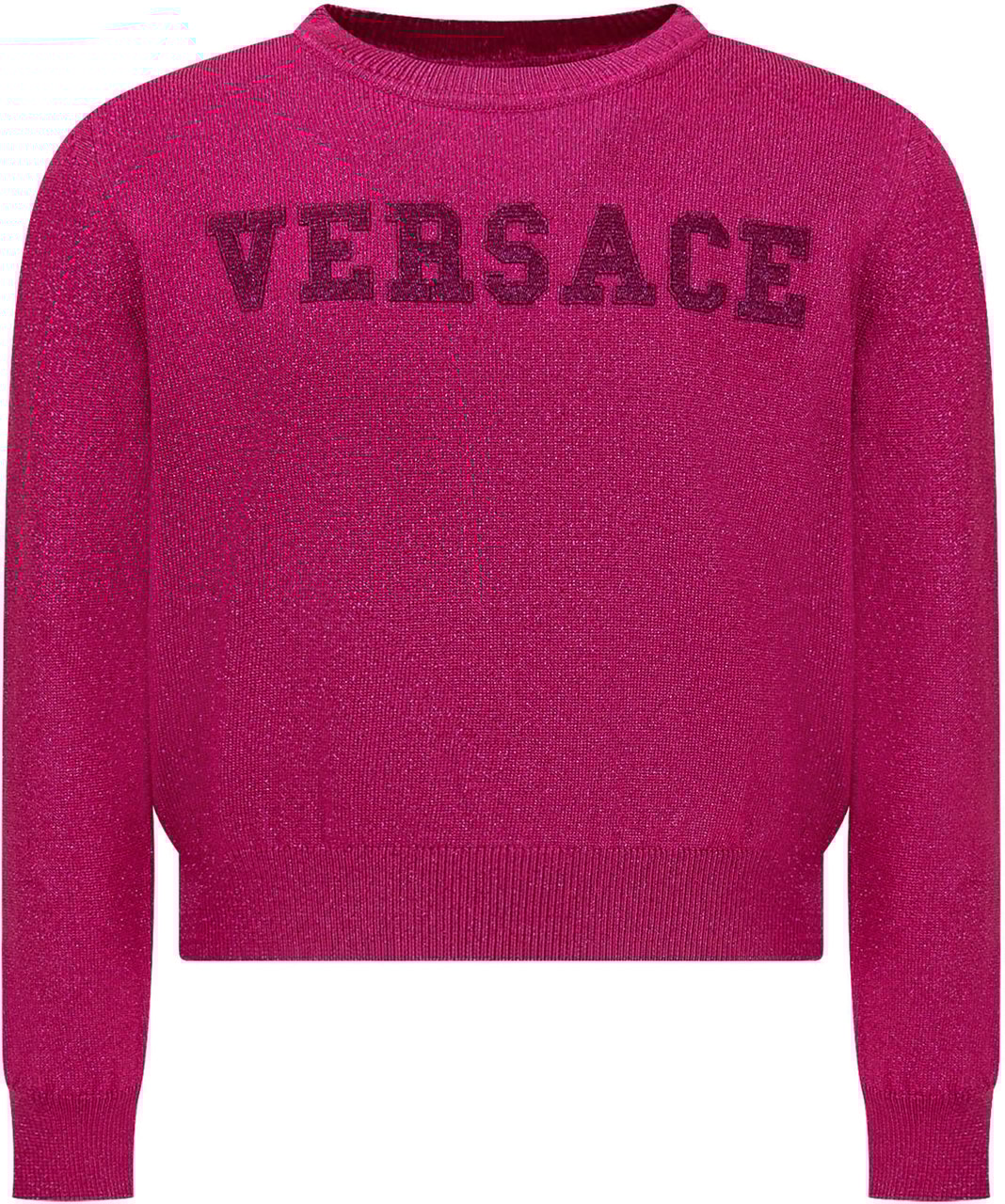 Versace Maglione con Logo Paars