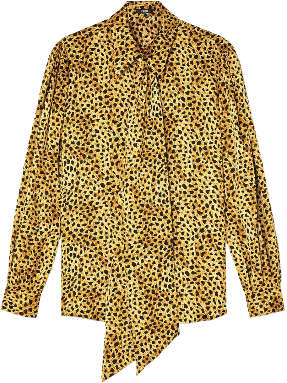 Versace Top Browngold Bruin