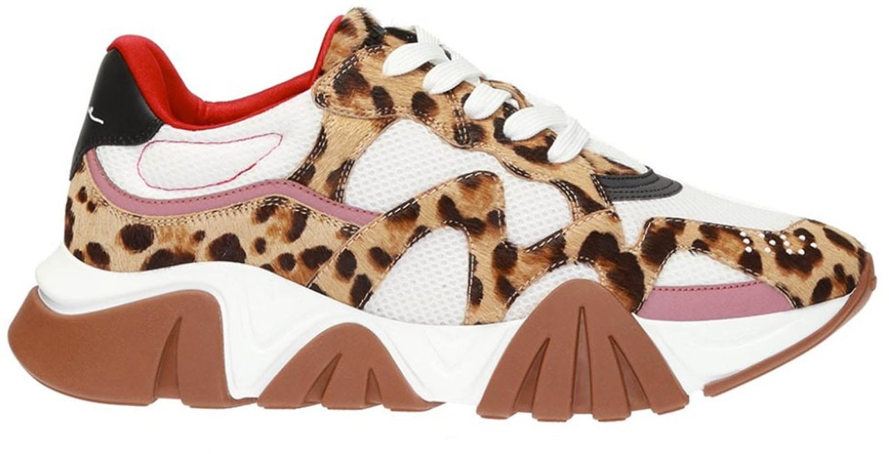 Versace Squalo Leopard Sneakers Divers