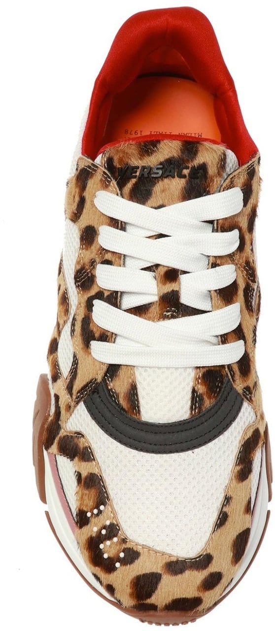 Versace Squalo Leopard Sneakers Divers