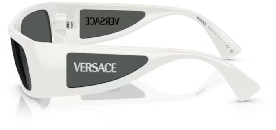 Versace 0Ve4482 Lens Logo Contemporary Lens Logo Sunglasses Wit